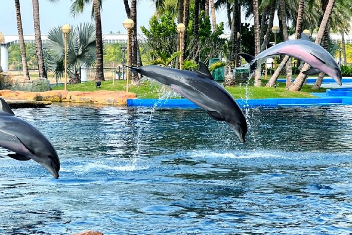 Fuli Ocean Happy World
